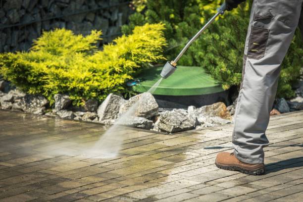 Best Pre-Holiday Cleaning  in Maplewood, WA