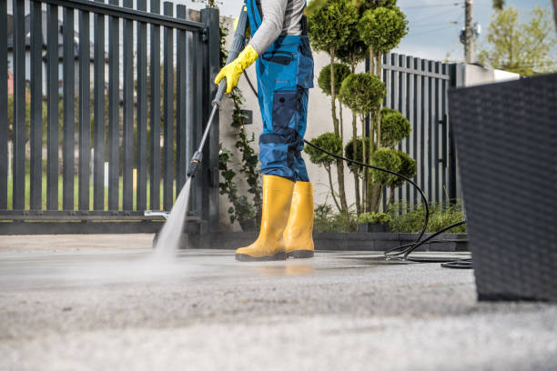 Best Sidewalk and Walkway Cleaning  in Maplewood, WA